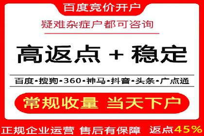 行业领先SEM服务公司案例研究